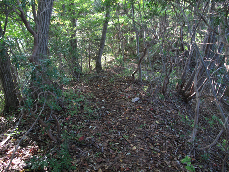 20171026hike (380)